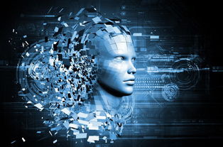 产业互联网黄金期 蜘点解析数据运用，驱动互联网销售新未来